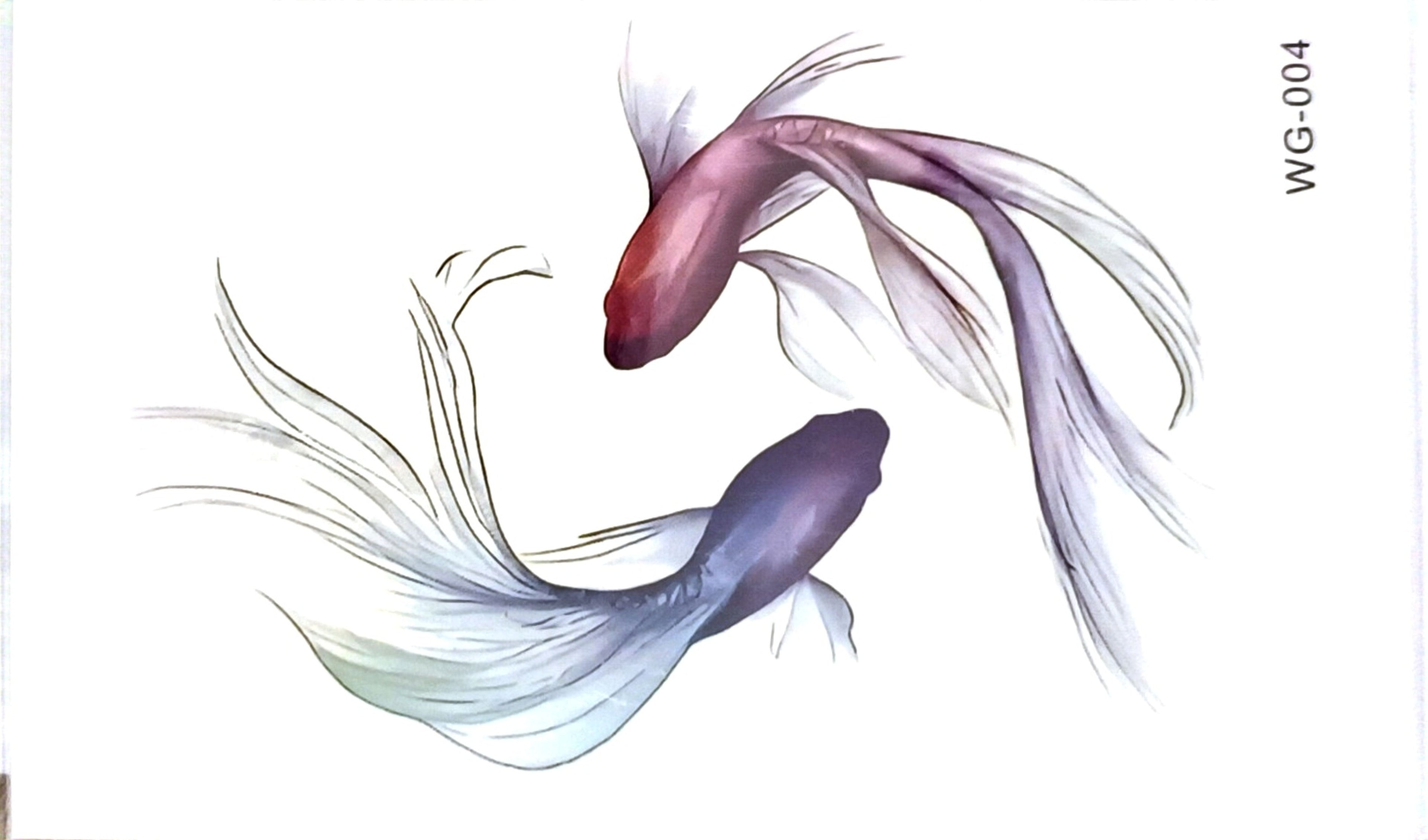Fish Coloured Tattoo