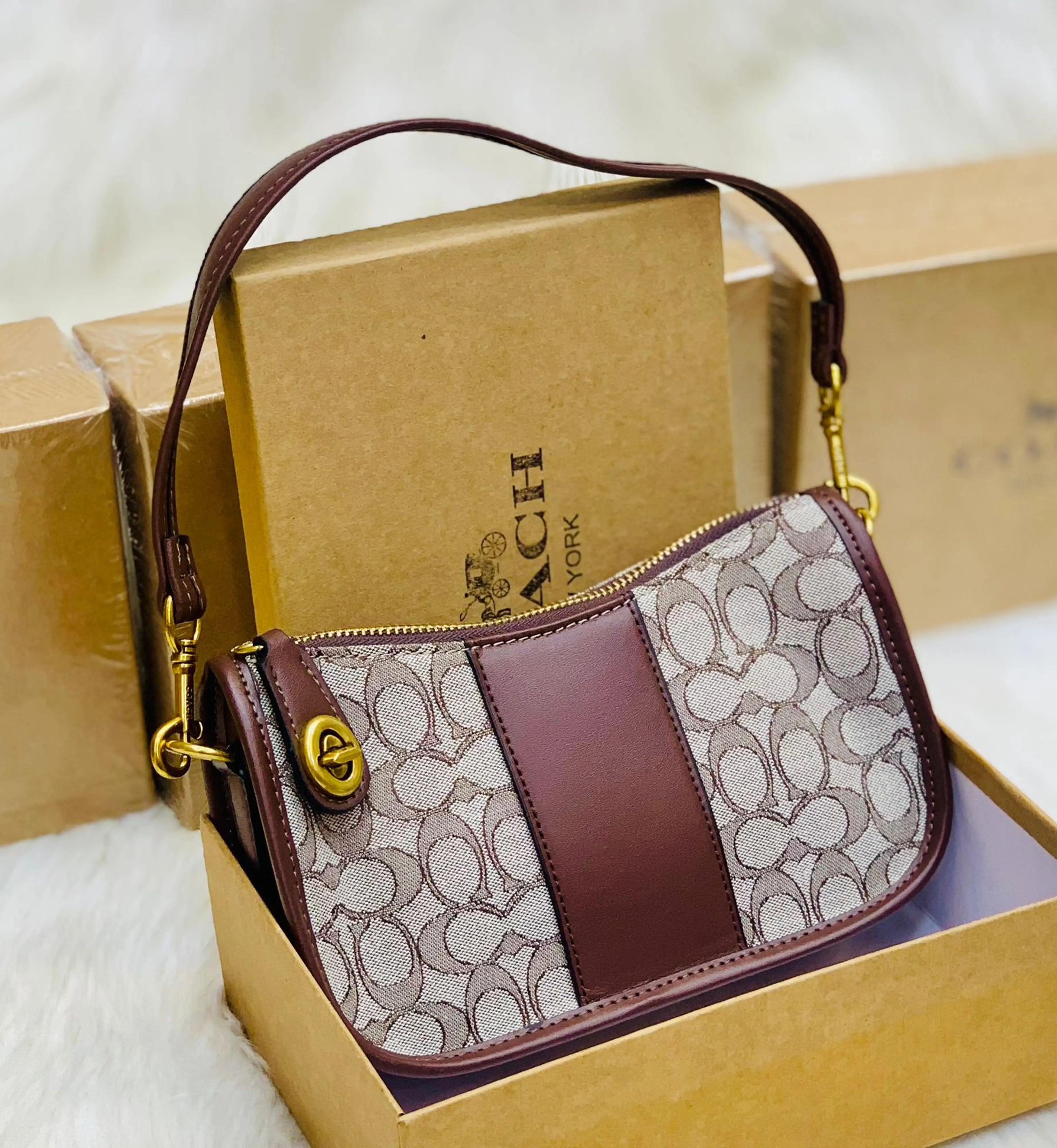 Coach Moon Bag