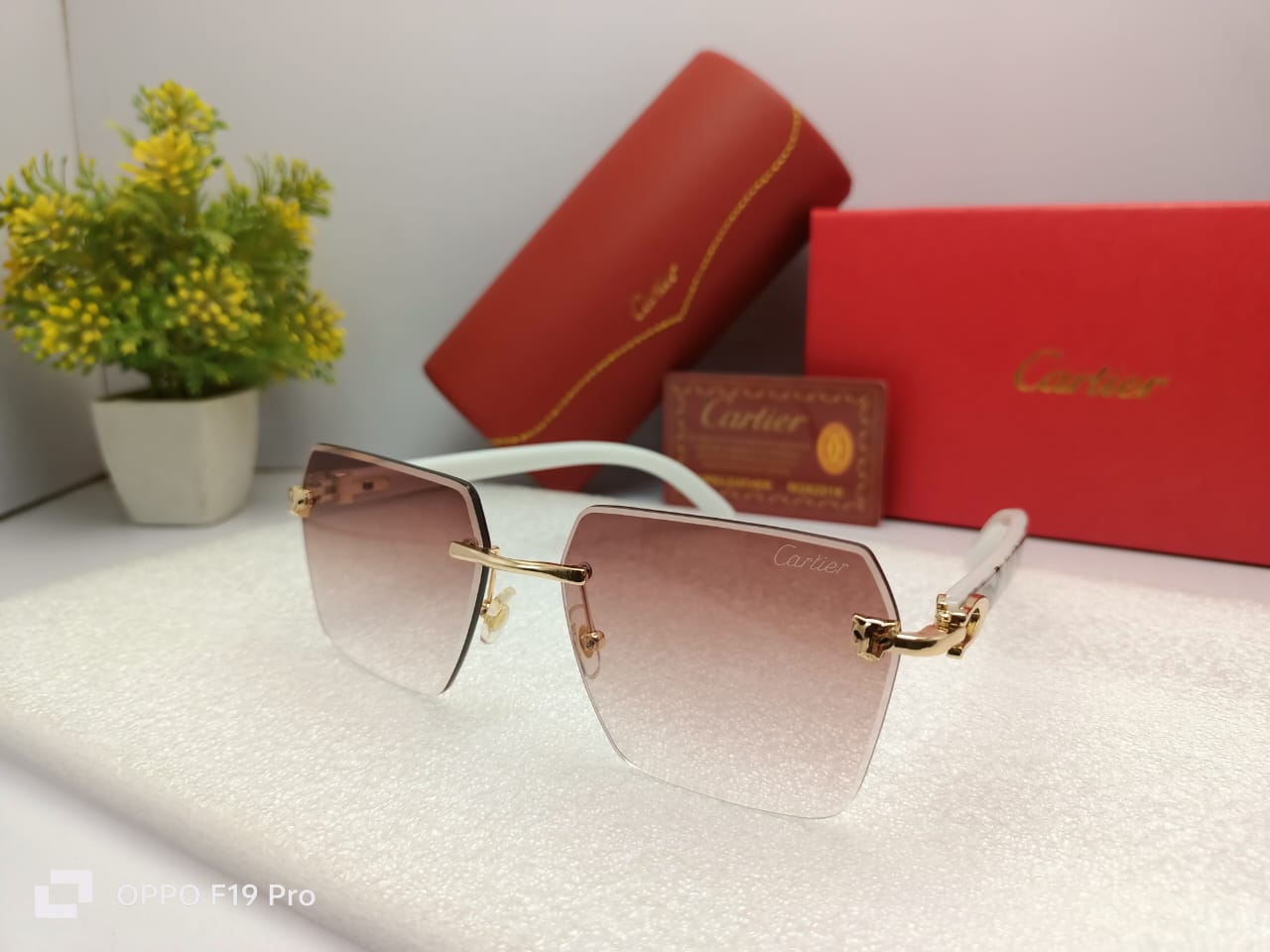 Cartier  SunGlasses With Box