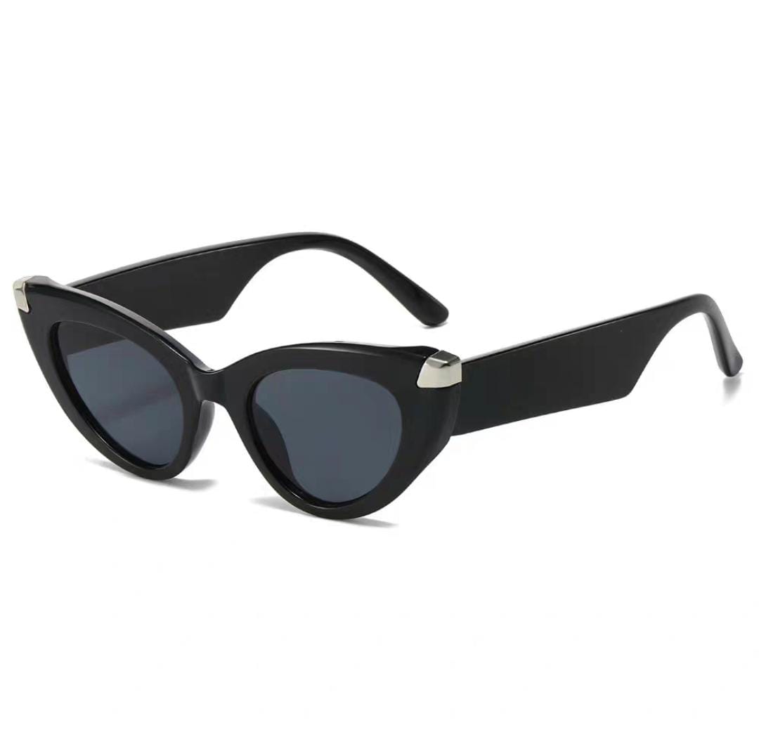 Fendi Roma SunGlasses With Box